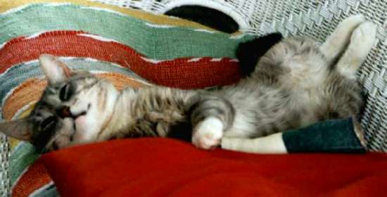 Relaxed and Happy