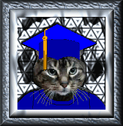 Graduation Picture