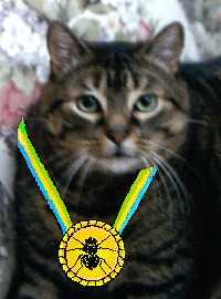Master Flycatcher