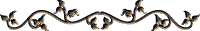 knightly separator
