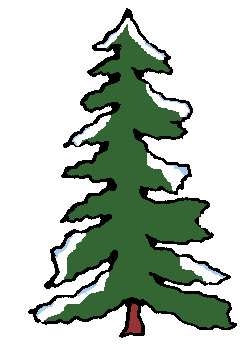 TallTree