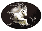 Ladyhipoo's Unicorns