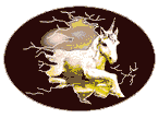Ladyhipoo's Unicorns