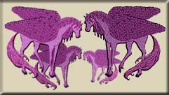 Ladyhipoo's Pegasus