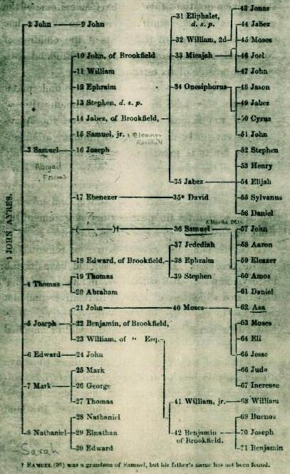 AYRES chart