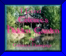 Celeste's Hidden Garden