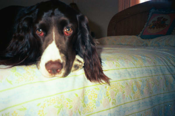 E on bed