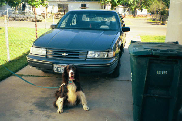 E & his car