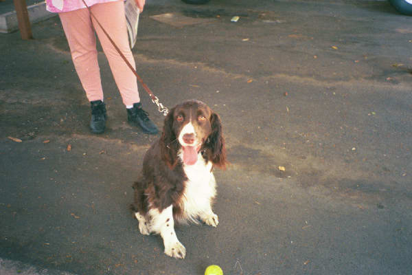 E at obedience