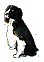 E!