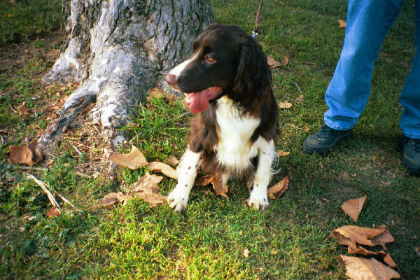 E at park