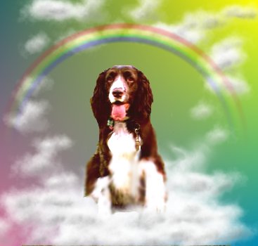Rainbow-E