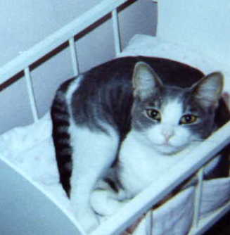 samantha
