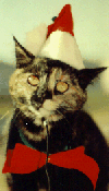 ethsanta.gif (14858 bytes)