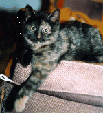 lucyrock(23046 bytes)