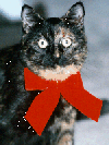 lucyxmas(13086 bytes)