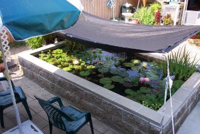 Shade Cloth Over Pond