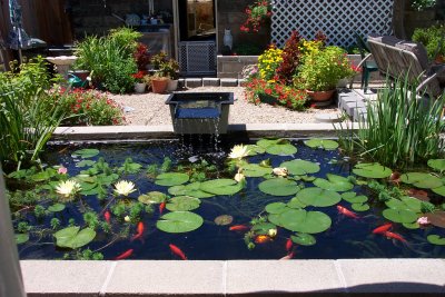 Pond and Flowers