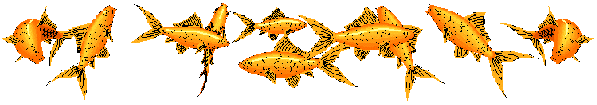 line of goldfish