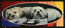 Ewok & Ernie's Excellence Award