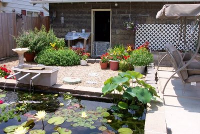 Flowers and Pond