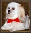Miss Taffy