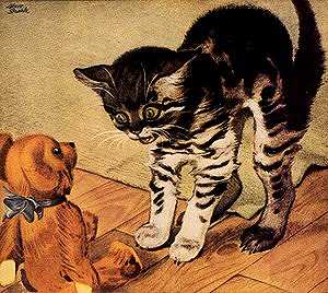 cat1