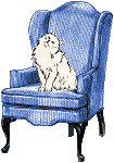 Cat on couch