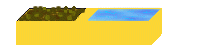 combo dish