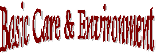 Basic Care and Environment