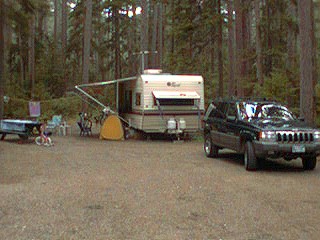 Cathedral Pines Site