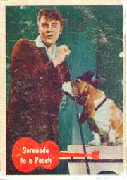 1956 Elvis Card #40