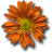 fallmixbtn1.gif (2710 bytes)