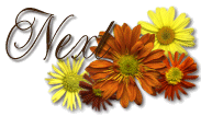 fallmixnxt.gif (12931 bytes)