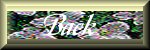 dwback.jpg (3862 bytes)
