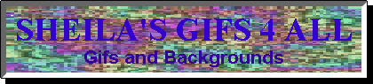 sheila's Banner