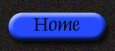 Home button