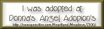 Scraps Adoption Cert.