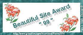 Beautiful Site Award