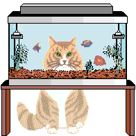 aquarium