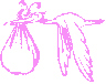 Stork