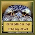 Owl Logo