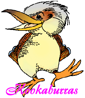 Kookaburra