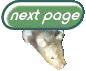 Next page