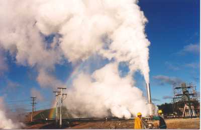 Geothermal steam bore
