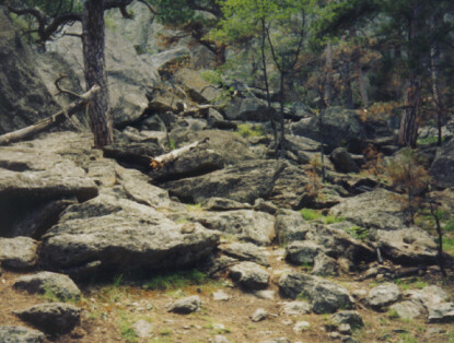 Rocks and debris from Devil's Tower