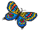 ButFly