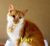 Lucy