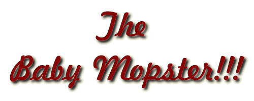 The Baby Mopster