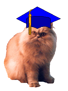 My Graduation Picture